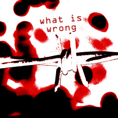 What Is Wrong [free download]