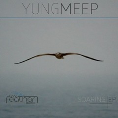 Yung Meep - Soaring