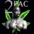 Artwork for 2Pac - Stand A Chance (NEW 2015)