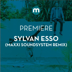 Premiere: Sylvan Esso 'H.S.K.T' (Maxxi Soundsystem remix)
