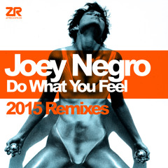 Joey Negro - Do What You Feel (Steve Mill Remix)