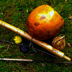 Cavalaria - Mestre Bimba (Lelé on Berimbau)