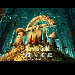 Infected Mushroom - Now is Gold (WISENEVIL RMX) (2015)