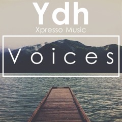 Voices - Ydh (Original mix)