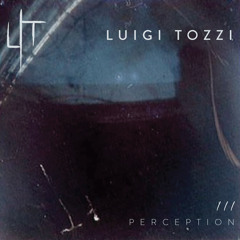 Perception Part III - LUIGI TOZZI