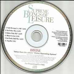 Divine (Ian Pooley Dub Mix)