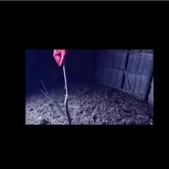 Zoe Ween  -DON'T NEED THEM