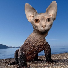 Sonorous By PowTron (DI Radio) - April 2015 - 4/24/15