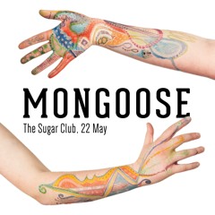 Can I See You Tonight