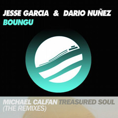 J. Garcia, D. Nunez VS Michael Calfan - Treasured Soul [Cleber Paul Gann Mash-Up Remix]FREE DOWNLOAD
