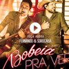 FERNANDO E SOROCABA - BOBEIA PRA VER