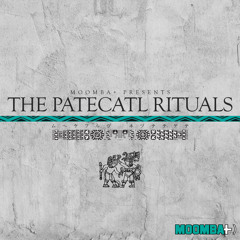 Perk Pietrek - Shoot Em Down (Original Mix)