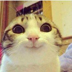 Bro Safari X Valentino Khan Vs Kendrick Lamar Vs Aero Chord - Yala Collard Vikings (Sratas Mashup)