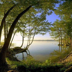 Serenity (Original Mix)