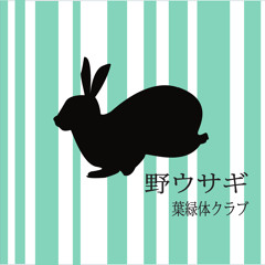 野ウサギ (Nousagi)