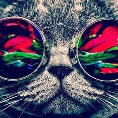 2015 - 04 - 27 - Gangsta house - Dscalco