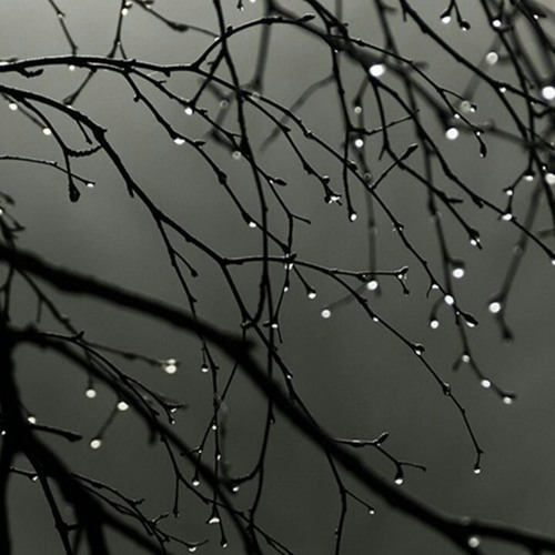 Saturday morning rain