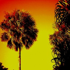 Hot Summer Night