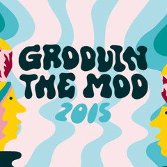 Groovin' The Moo 2015 - MiniMix