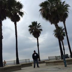 I Shot You Down (SilverrBuddah freestyle)