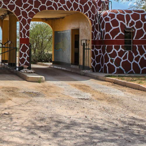 Samburu Reserve