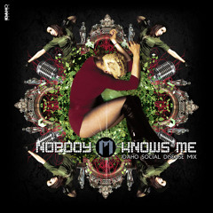 Nobody Knows Me (idaho Social Disease Mix)
