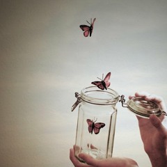 ปล่อยวาง