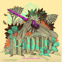 Fonction Dub - The Dragonfly Rags