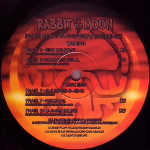Rabbit in the Moon - O.B.E. Phase 3 (DJ Zoetic)