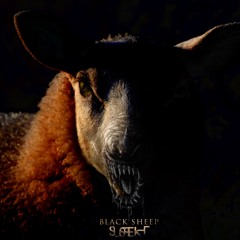 Suspekt - Black Sheep