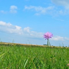 Unter Die Haut [Tim Bendzko cover by Kathleen]
