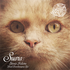 Sonic Future & Leo Janeiro - Stabs (Original Mix)