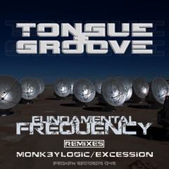 BR048 : Tongue & Groove - Fundamental Frequency (Monk3ylogic Remix)