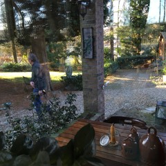 3. Leven (Hoofdstuk 2)