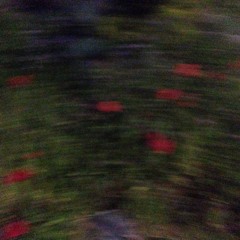 Road To Her/Home (Ottmar Liebert)