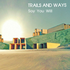 Say You Will
