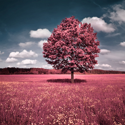 Solitude EP