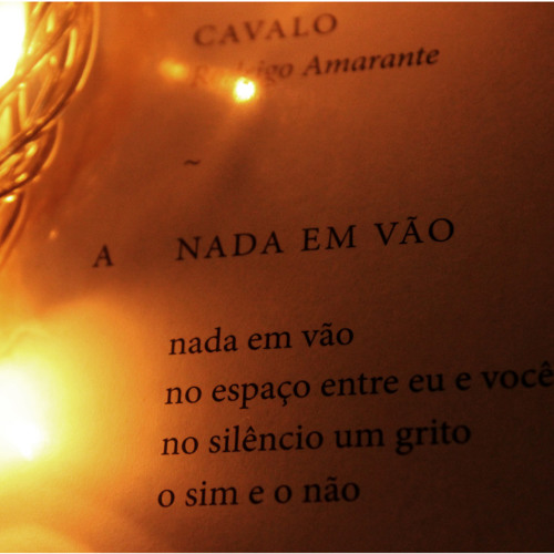 nada em vão - rodrigo amarante (cover)