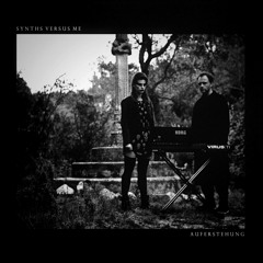 Devenir Gris († Auferstehung † Album)