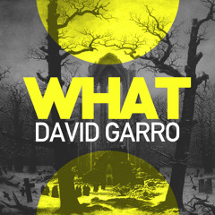 David Garro - WHAT (Original Mix) OUT NOW! 28-04-2015