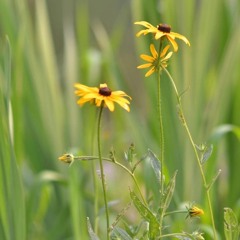 Saturday 5am sunrise