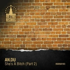 AN.DU - She's A Bitch (X-Tropic Remix)