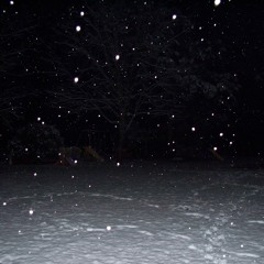 Sean Price feat. Roc Marciano - Snow (Bluestocks  Remix)