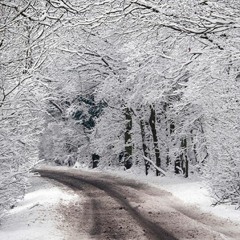 Winter Blues