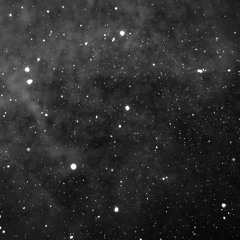 The Hanging Tree (Giacomo Edit)