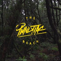 PWNDTIAC - The Beach Ft. Krue (Les Loups Remix)