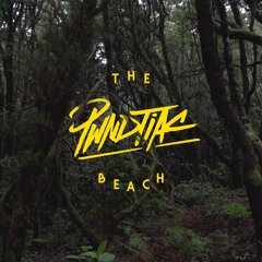 PWNDTIAC & KRUE - The Beach (Les Loups Remix)