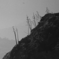 The Sudden Death of the Skyline (demo)