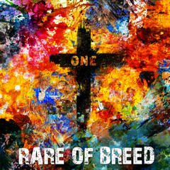 Rare Of Breed - We Got A Problem Ft. Ike Hill (Prod. by Alano Adan FKA FLO)