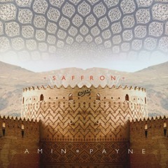 Amin Payne - Temples (Feat. Bwoy De Bhajan)
